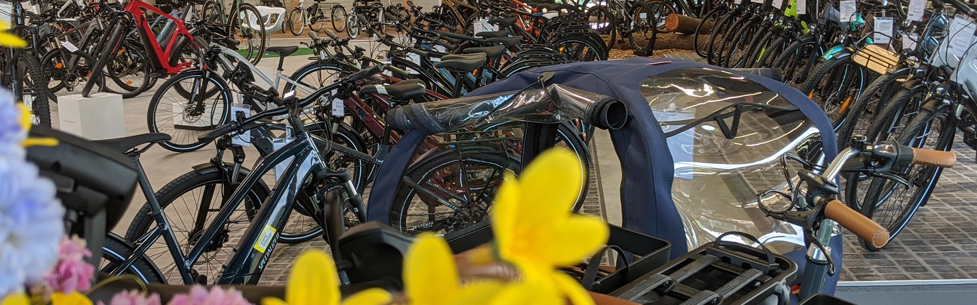 Der Shop der e-motion e-Bike Welt Westhausen