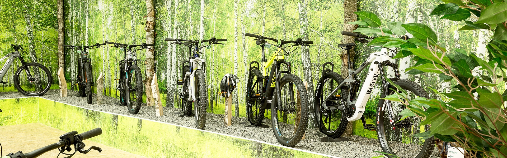 Der Shop der e-motion e-Bike Welt Nürnberg