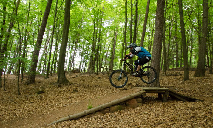 e-MTB Fahrkurs in der e-motion e-Bike Welt Worms