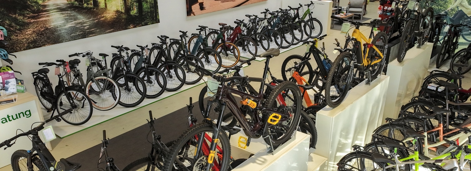 Dein Team der e-motion e-Bike Welt Kaiserslautern