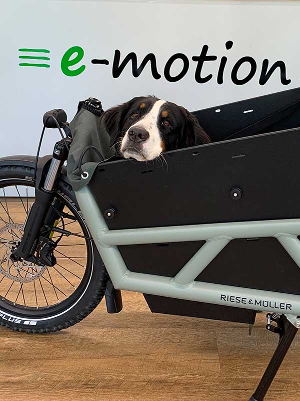 Hund Bella der e-motion e-Bike Welt Ismaning