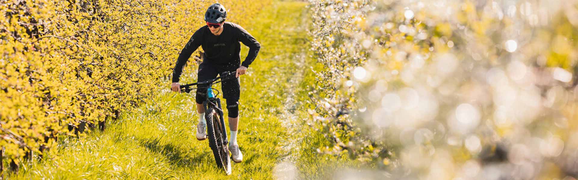 Mann mit Helm auf einem R Raymon e-Bike in blühenden Feldern