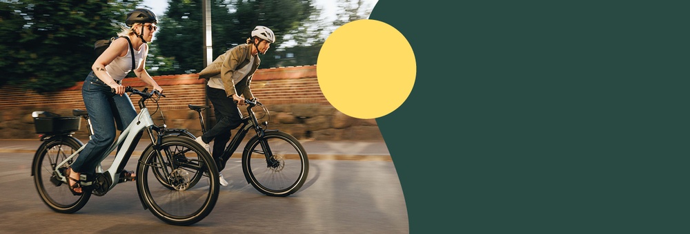 Jetzt vor Ort verfügbare e-Bikes in Pulheim entdecken - e-motion e-Bike Experten a8d0c5b9c415817a671630b4f8a4629a scaled 7