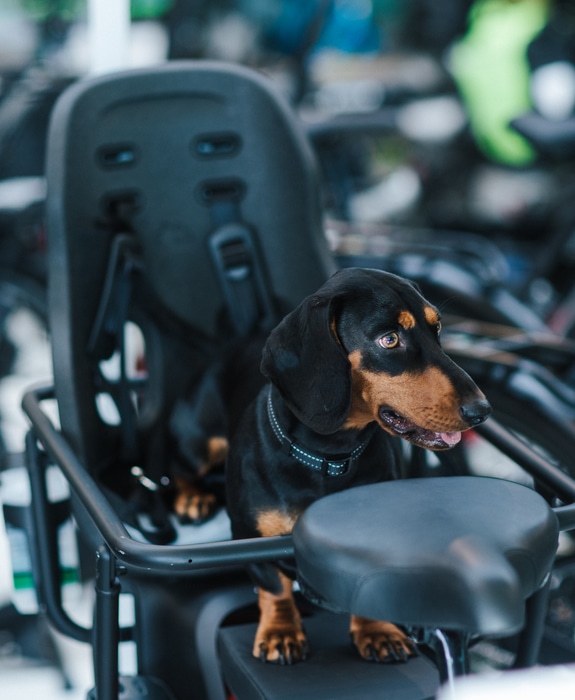 City e-Bikes in emotion mitarbeiter 1045
