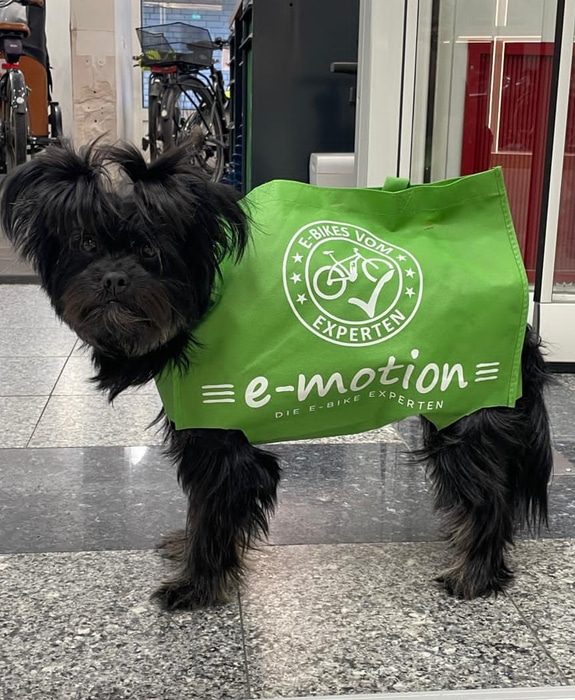Ăber uns - e-motion Hamburg Wandsbek emotion mitarbeiter 1058