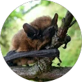 Google Profilbild von e-motion Kunde so so