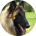 Google Profilbild von e-motion Kunde Bernd Houben