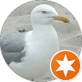 Google Profilbild von e-motion Kunde Thomas
