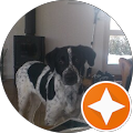 Google Profilbild von e-motion Kunde Frank Moewius