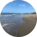 Google Profilbild von e-motion Kunde Carsten Ross