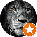 Google Profilbild von e-motion Kunde FeLAWres