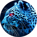 Google Profilbild von e-motion Kunde Marc Nlls