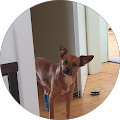 Google Profilbild von e-motion Kunde Elmar Maass