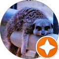 Google Profilbild von e-motion Kunde KA RA